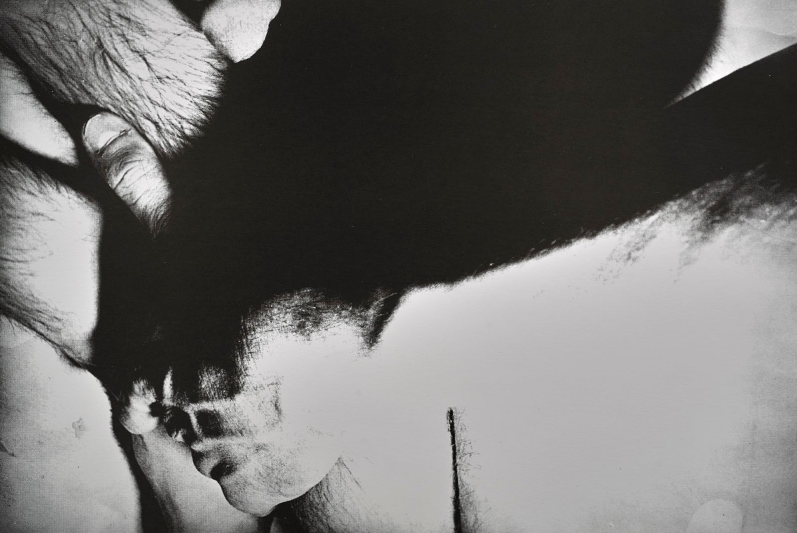 Jimmy DeSana, 101 Nudes, 1972/1991