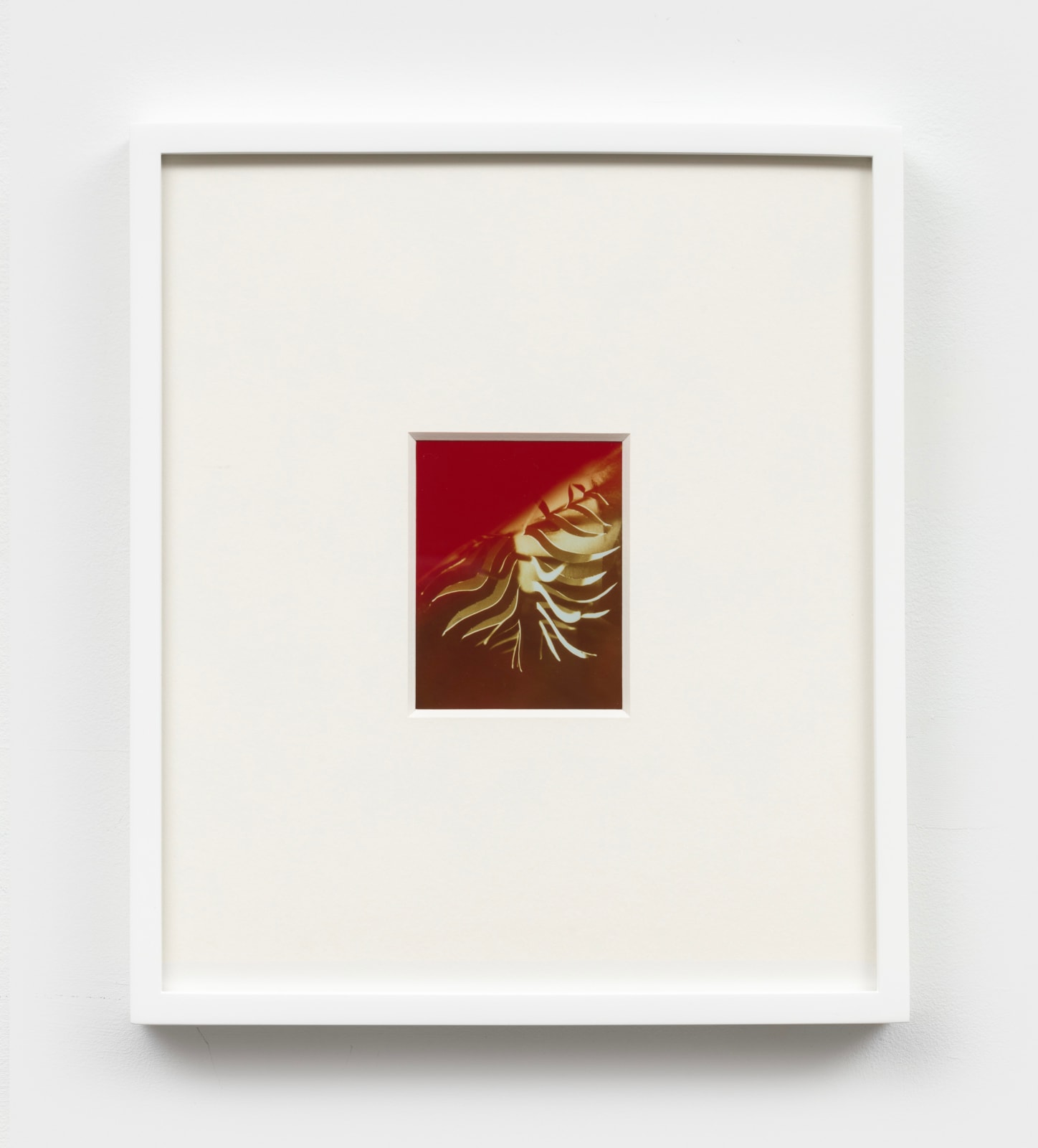 Jimmy DeSana, Untitled, 1985
