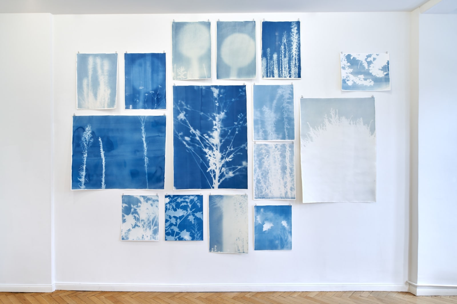 Silke Schatz, Wolke, 2024