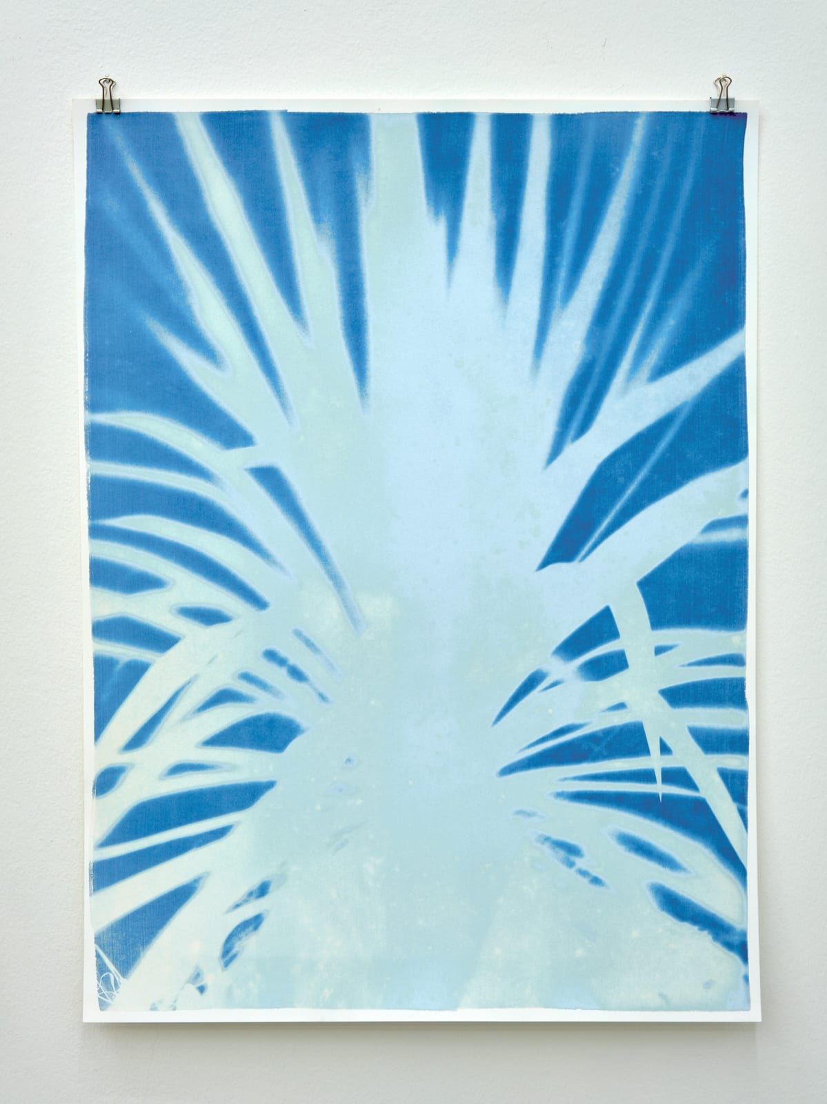 Silke Schatz, Yucca I, 22nd sept 2022, 2022