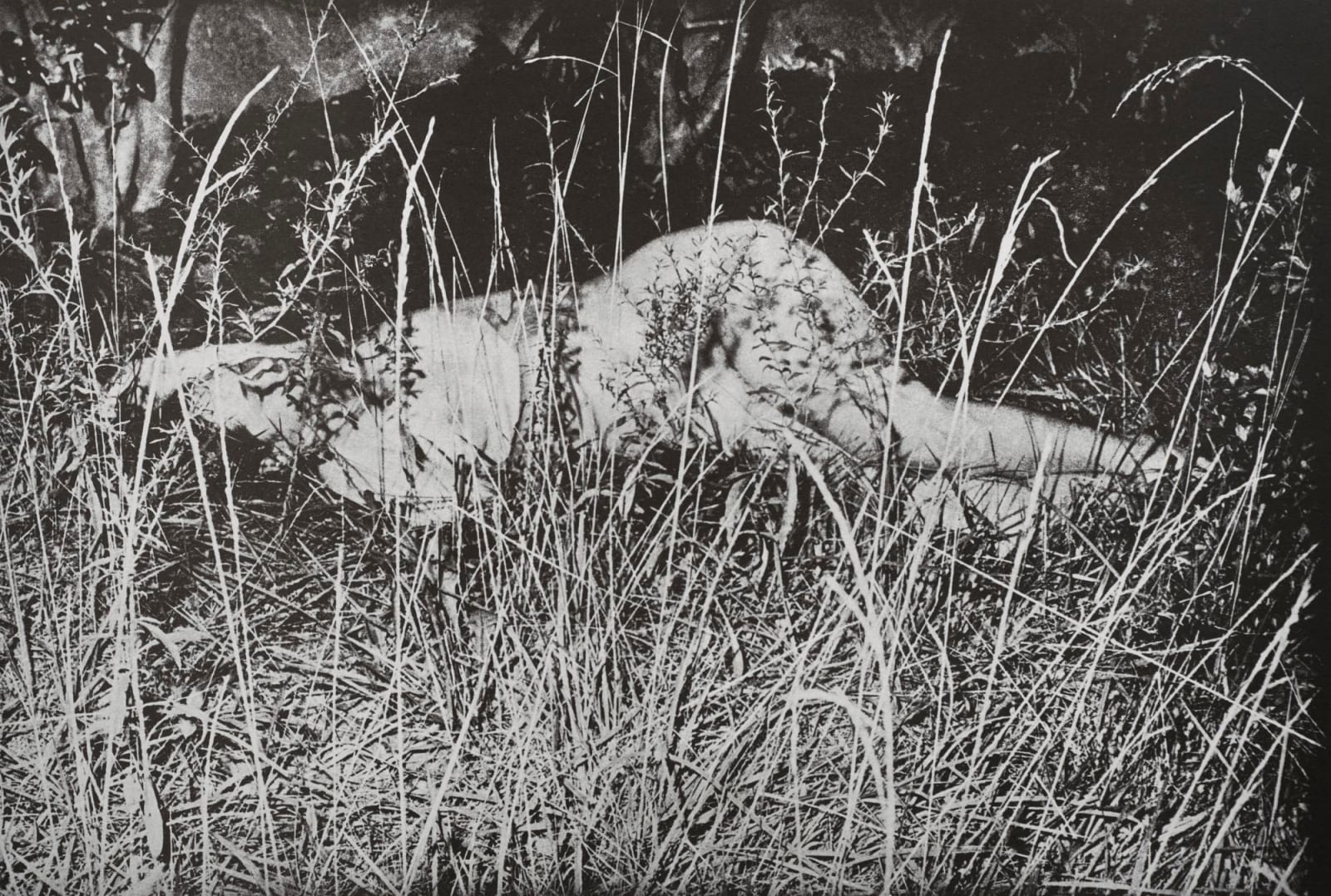Jimmy DeSana, 101 Nudes, 1972/1991