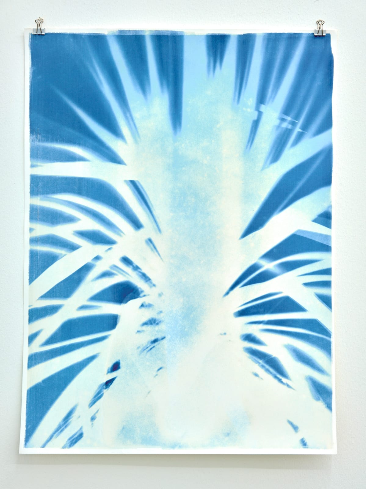 Silke Schatz, Yucca II, 29th sept. 2022, 2022
