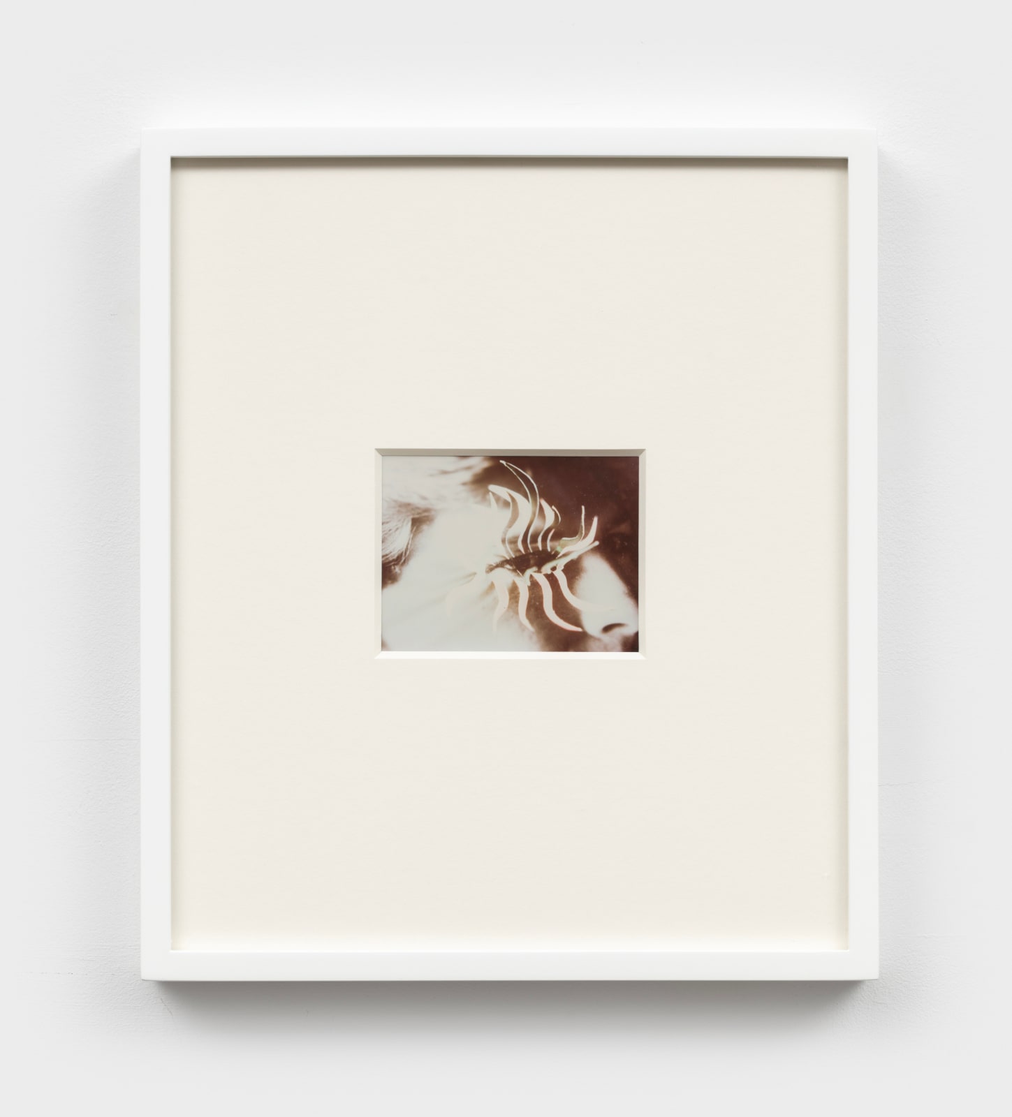 Jimmy DeSana, Untitled (Eyelash), 1985