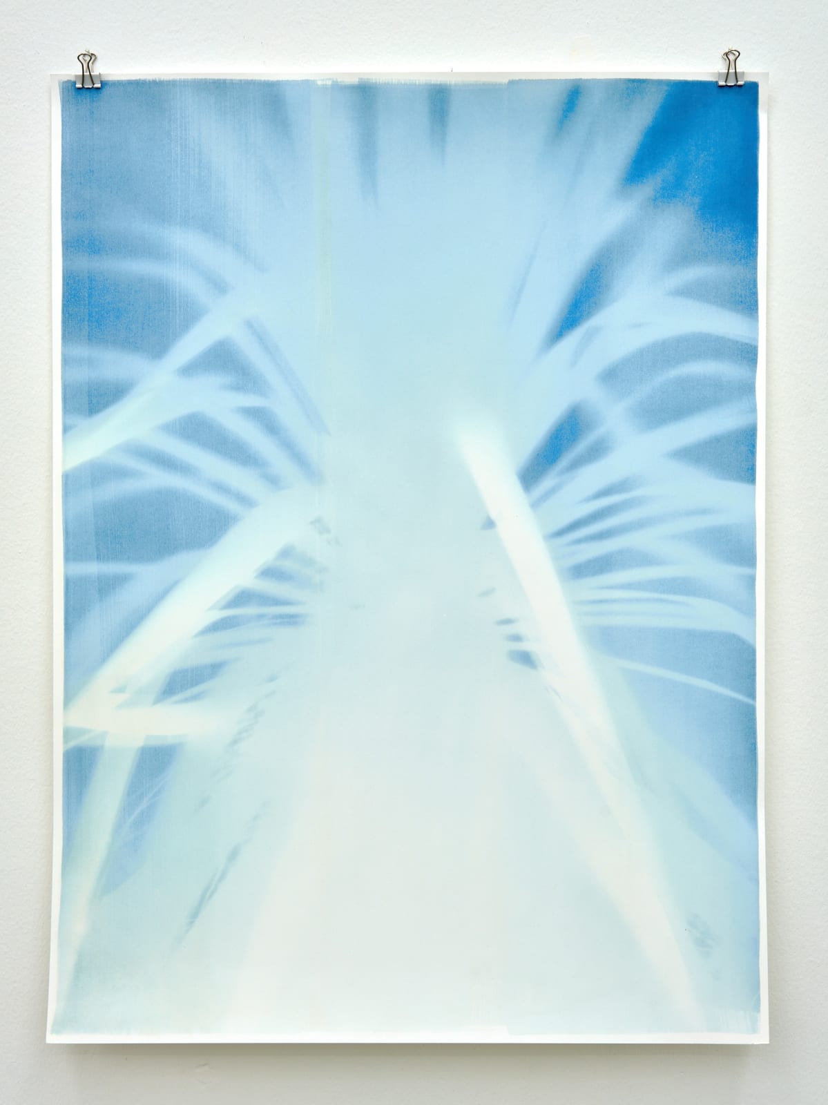 Silke Schatz, Yucca I, 9th nov. 2022, , 2022