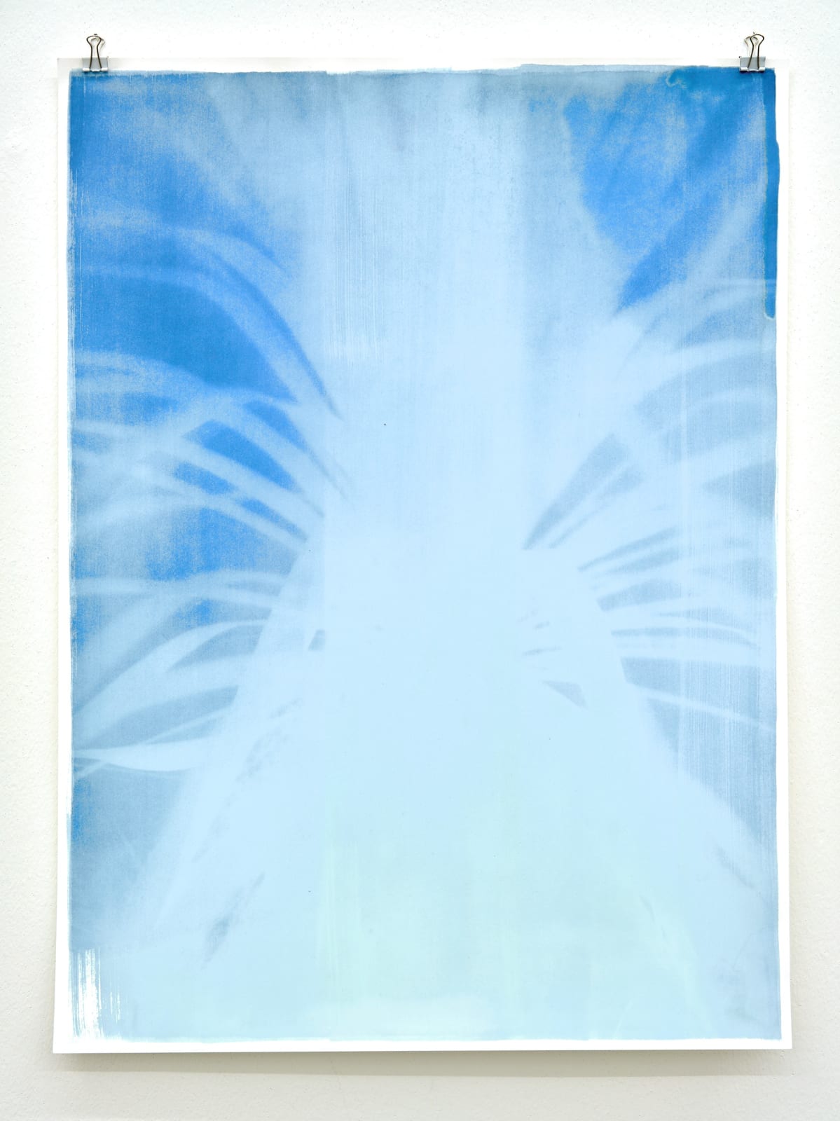 Silke Schatz, Yucca II, 9th nov. 2022, 2022
