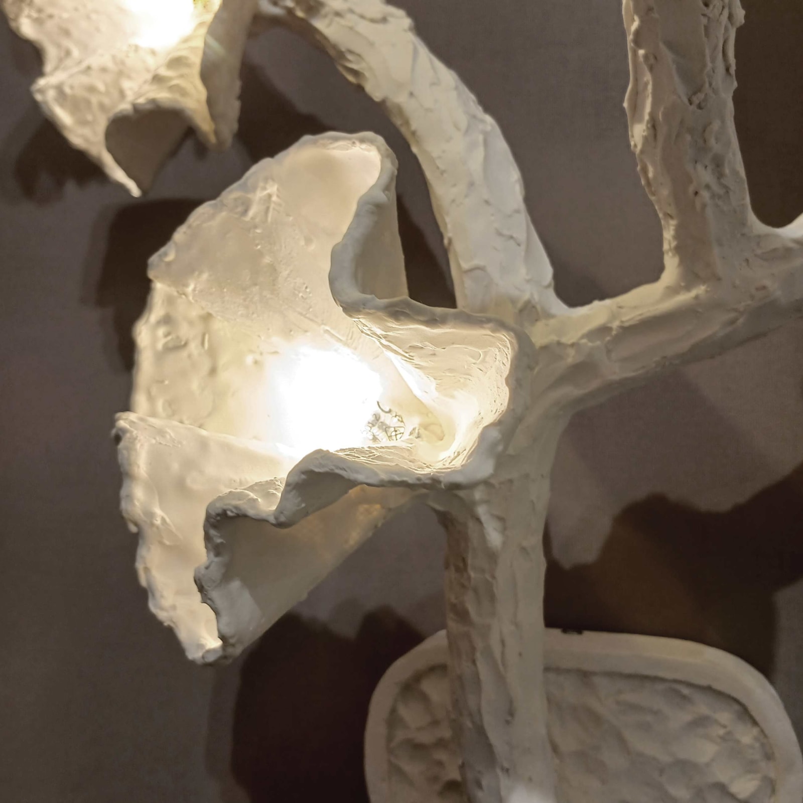 Martin Huxford, Bloom Plaster Sconce