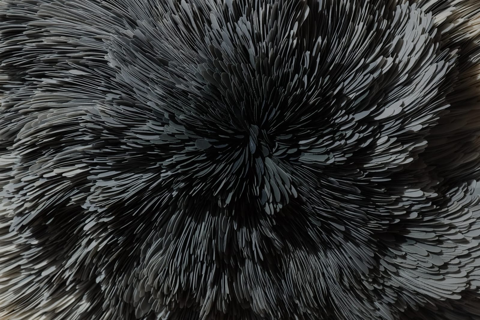 Valeriya Isyak, Drop of Water, 2025