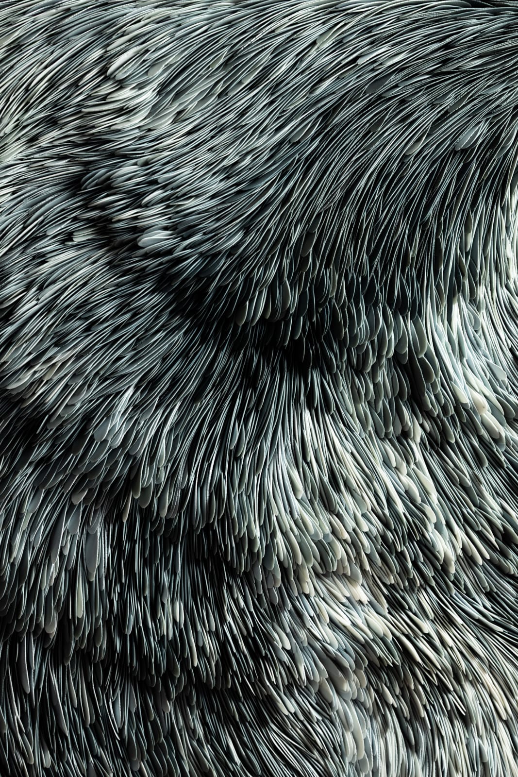 Valeriya Isyak, Smoke, 2025