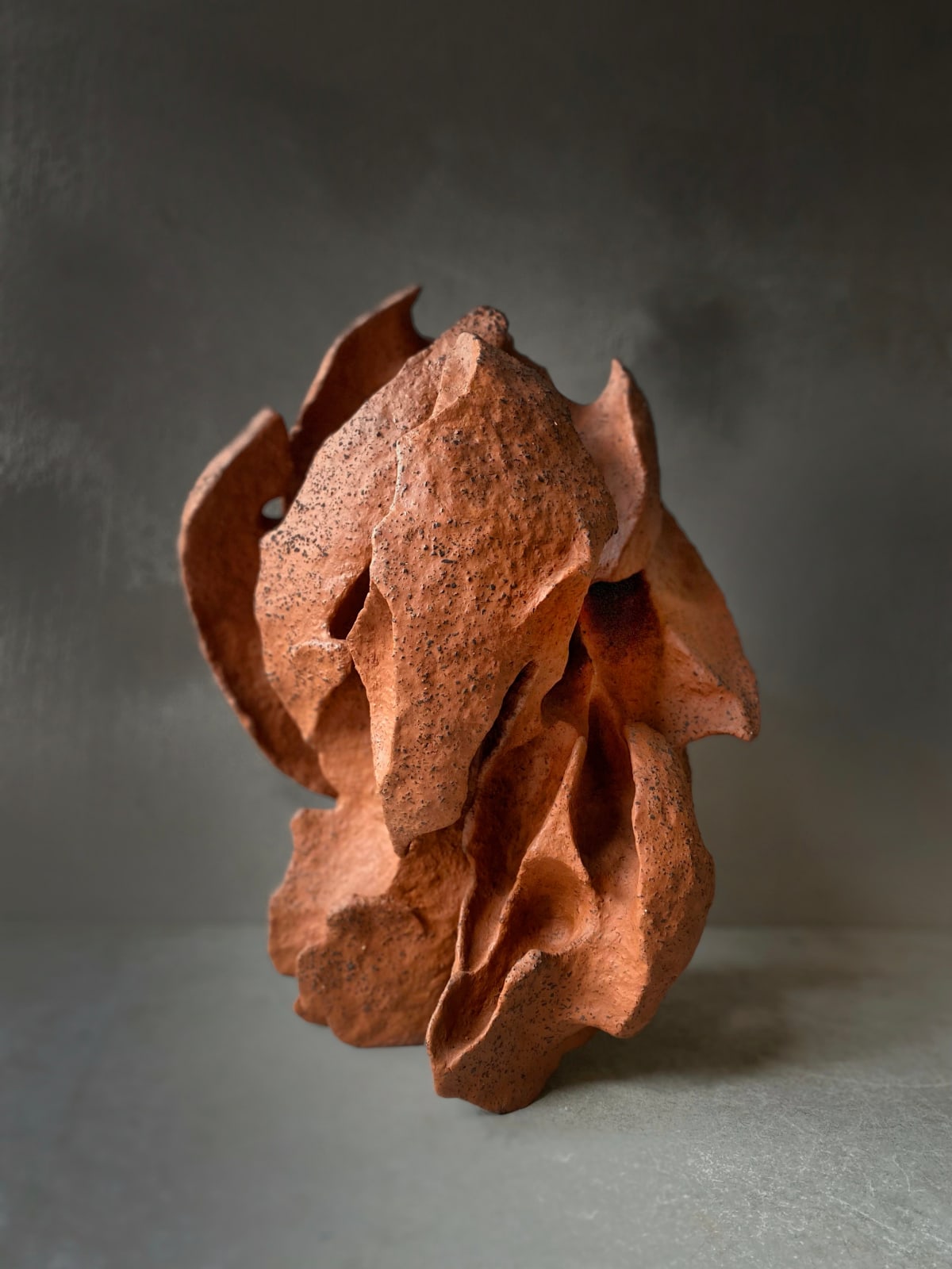 Olesya and Andriy Voznicki, Pinzel red, 2024