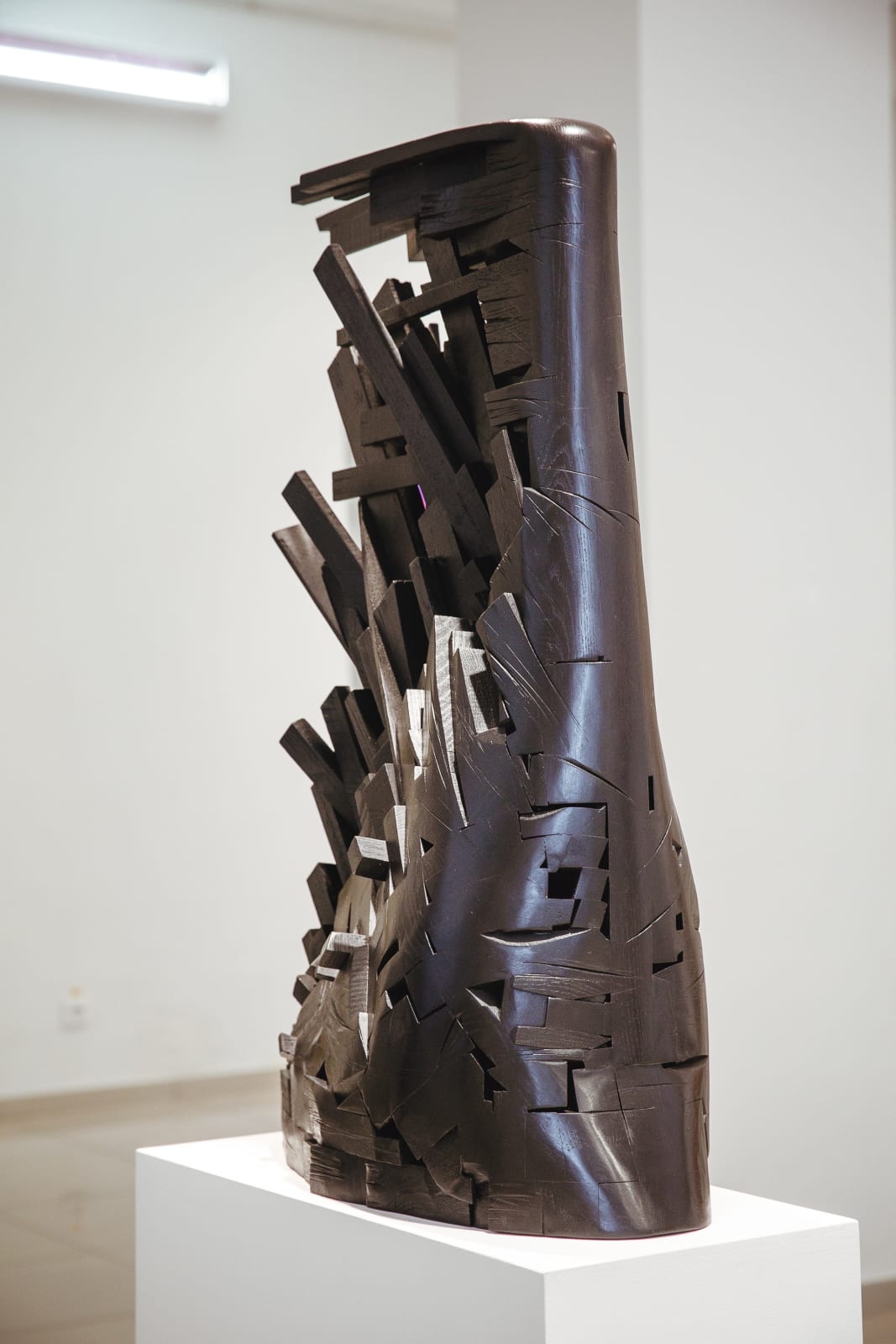 Valery Pchelin, Drifter 5, 2025