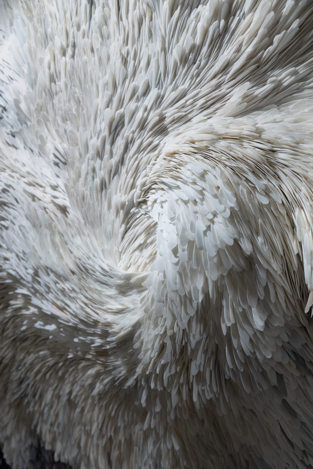 Valeriya Isyak, Nexus (left side), 2025