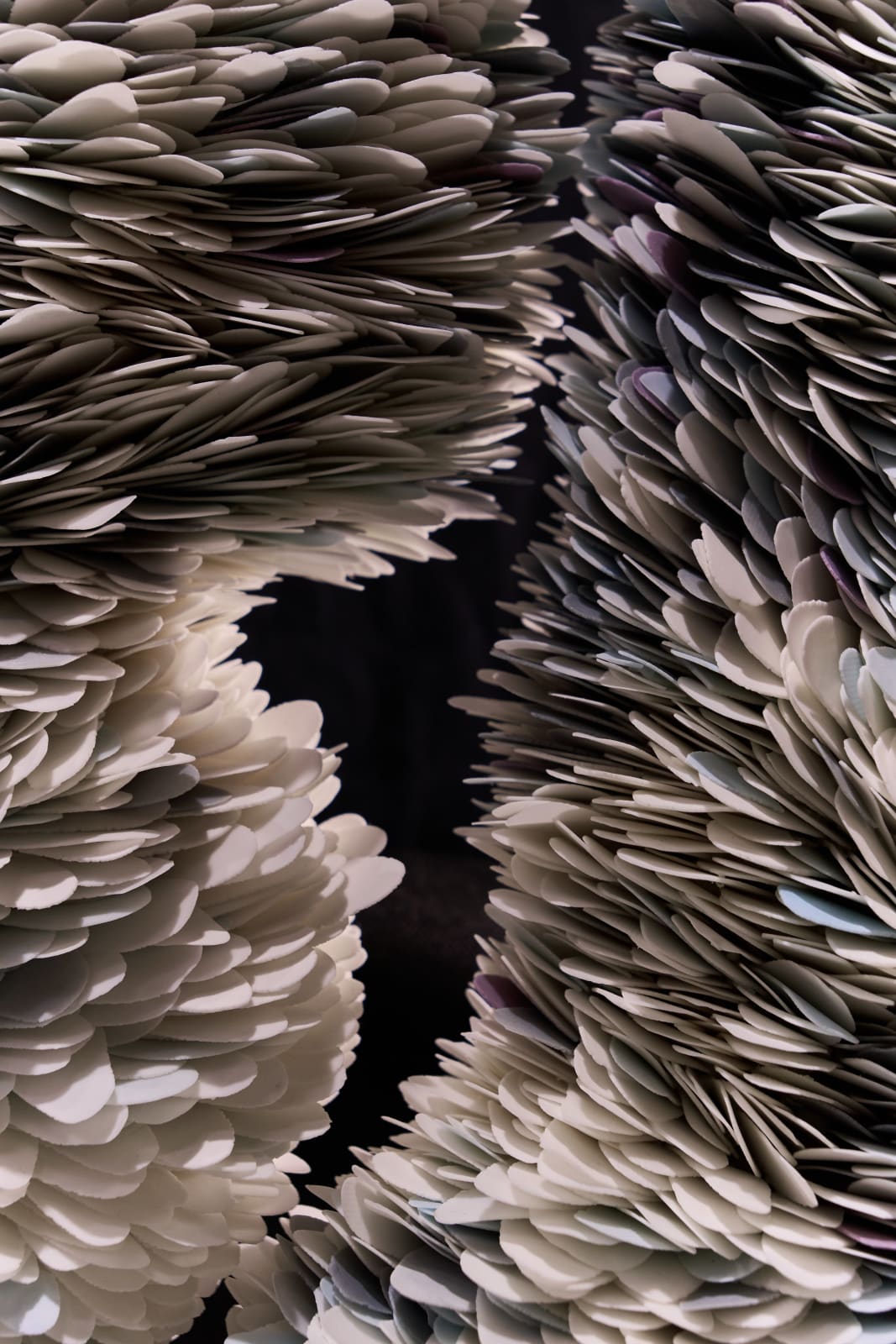 Valeriya Isyak, Affinity, 2025