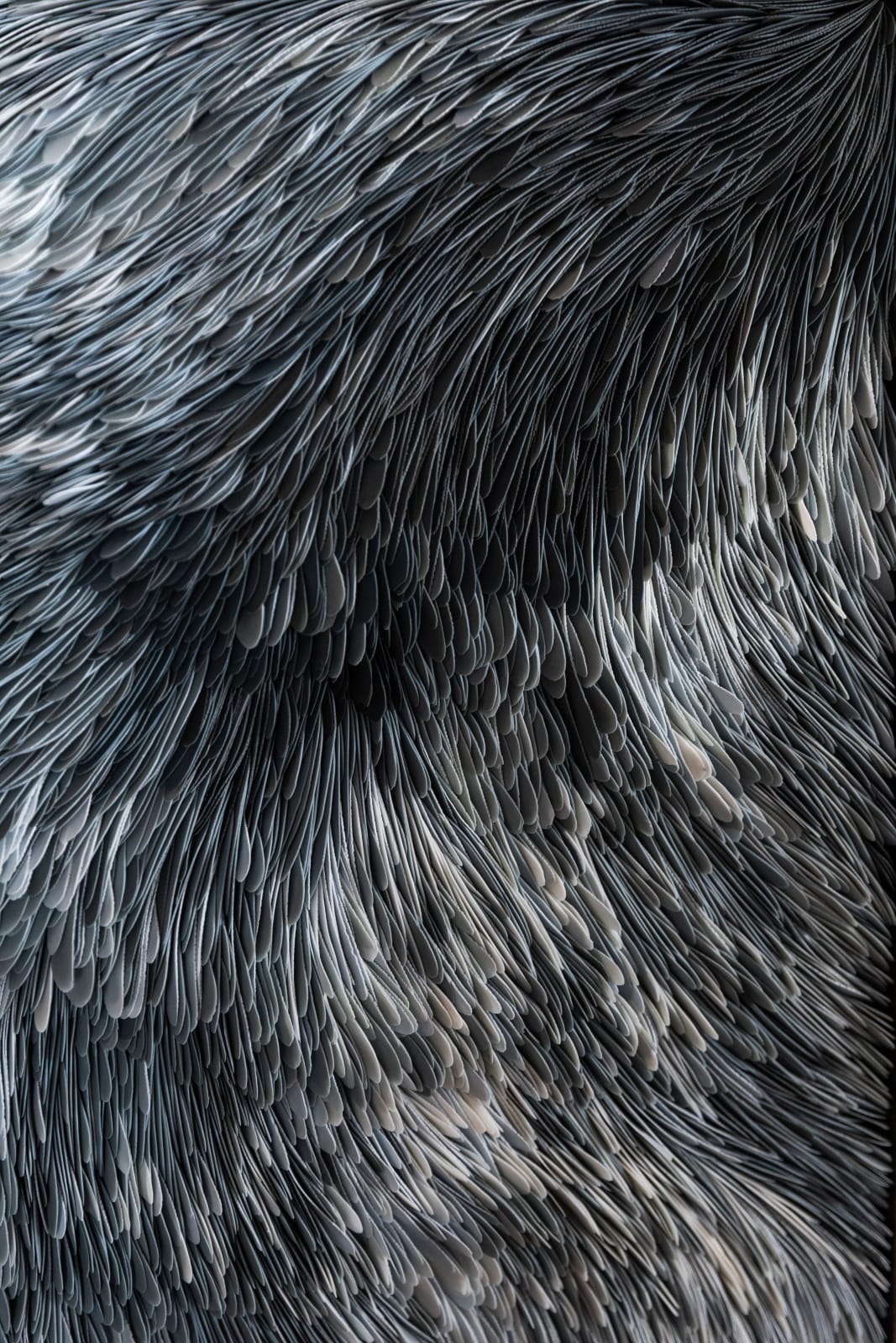 Valeriya Isyak, Smoke, 2025