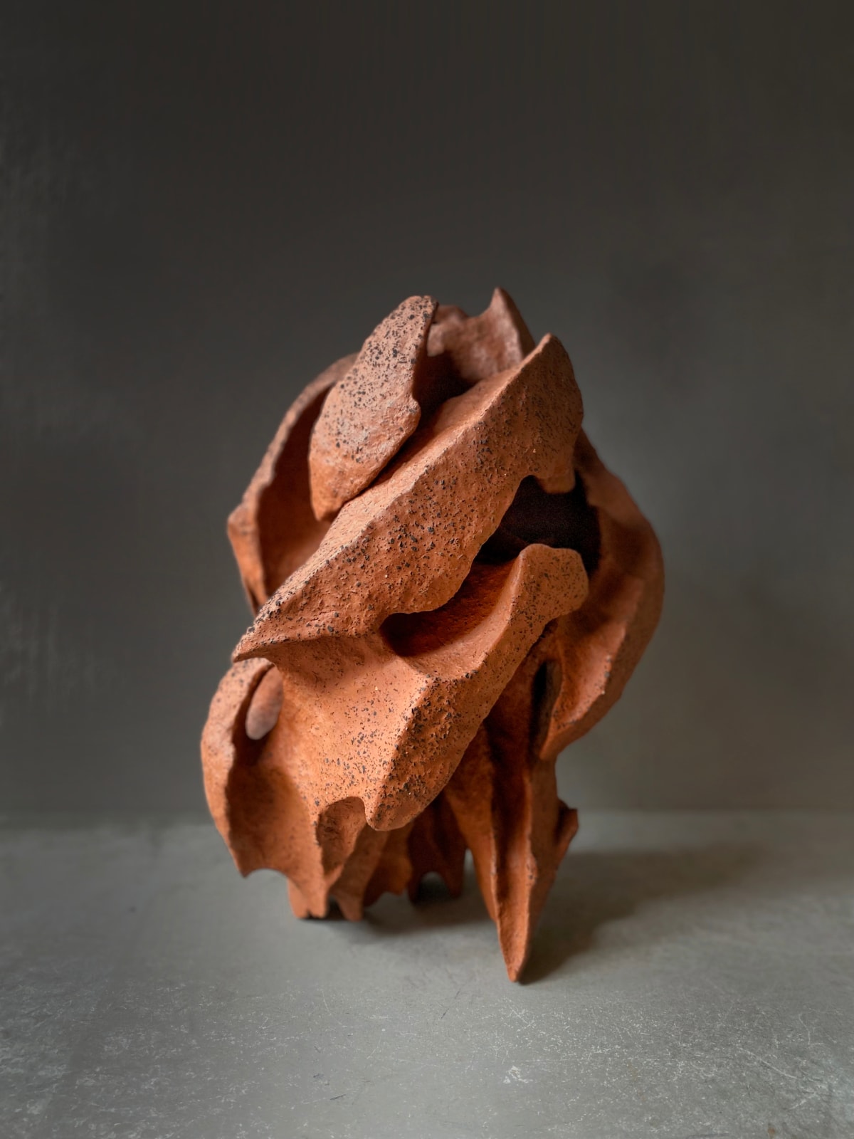 Olesya and Andriy Voznicki, Pinzel red, 2024