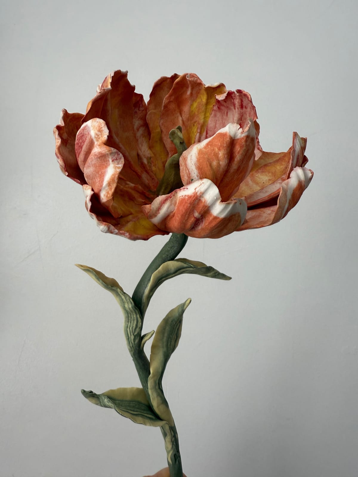Anna Volkova, Orange Tulip