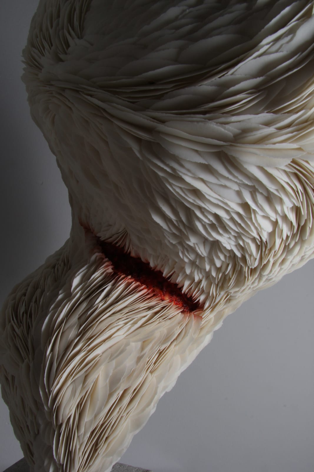 Yulia Batyrova and Marat Mukhametov, Wound, 2023