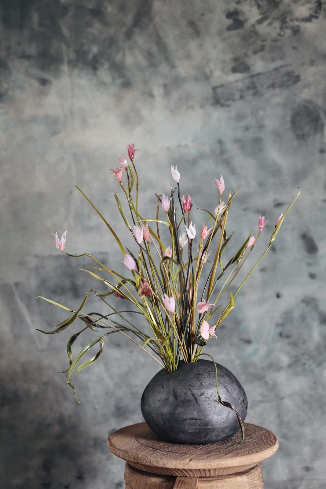 Anastasia Pribelskaya, Campanula, 2025