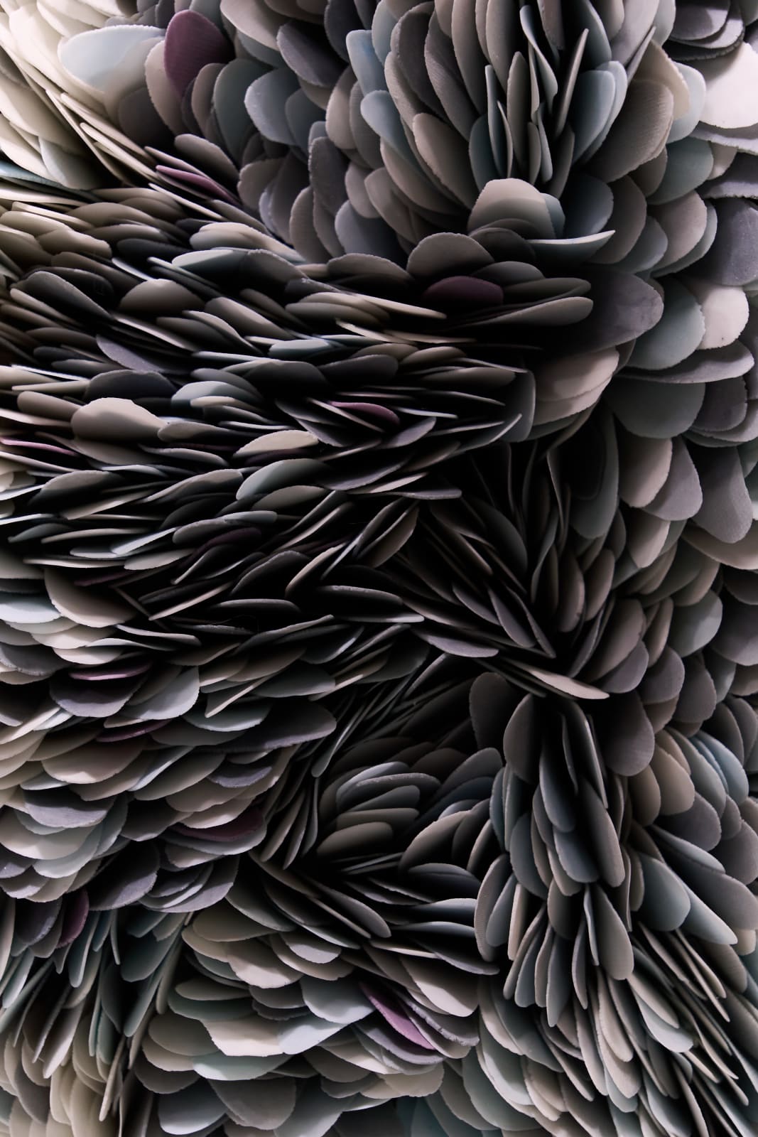 Valeriya Isyak, Affinity, 2025