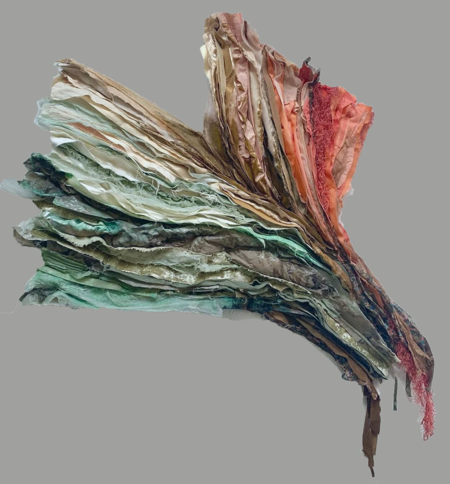 Femke van Gemert, Bloom Blossomed, 2019