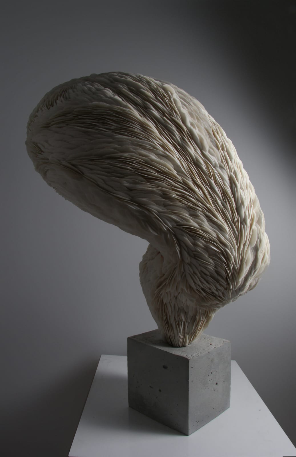Yulia Batyrova and Marat Mukhametov, Wound, 2023