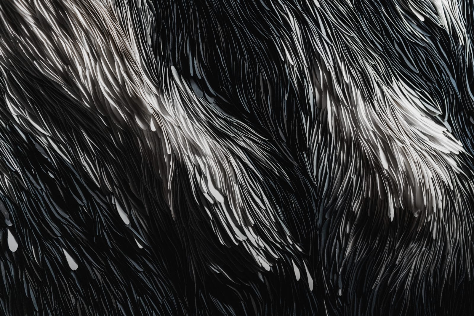 Valeriya Isyak, Flash, 2024