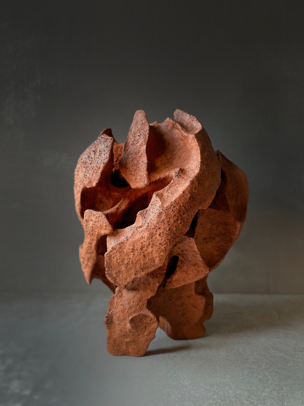 Olesya and Andriy Voznicki, Pinzel red, 2024