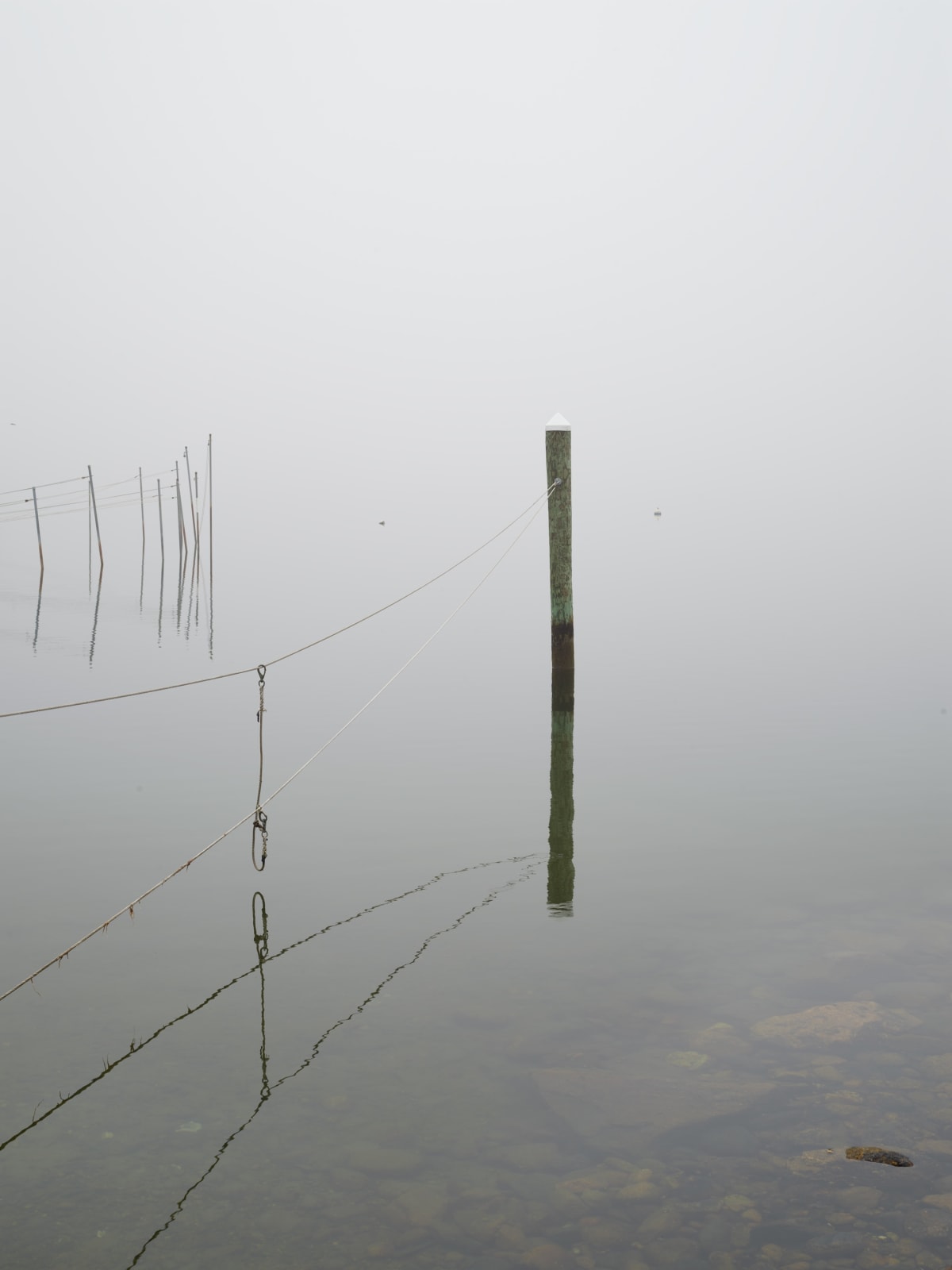 Composition 3673, 2020