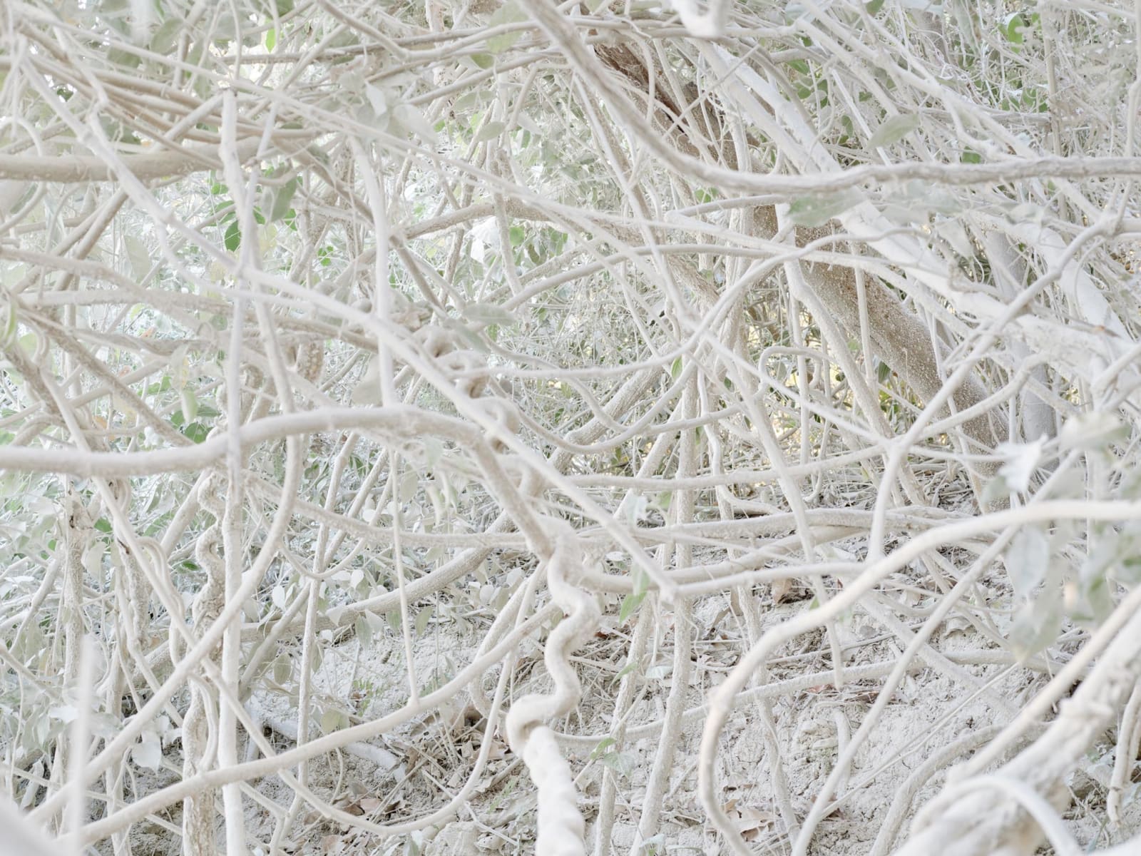 Costa Rica, No. 0395