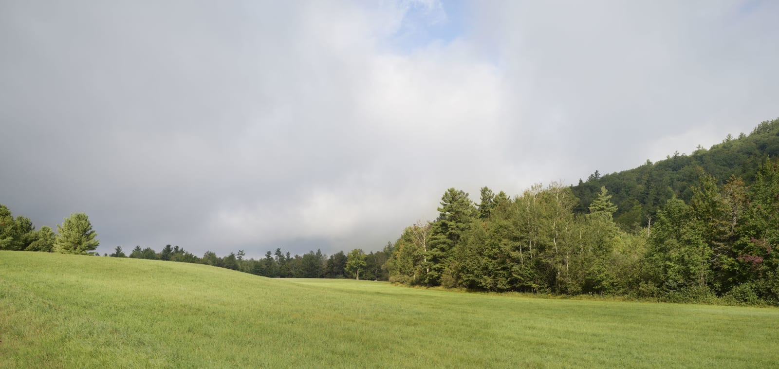 Upper Jay, No. 11539