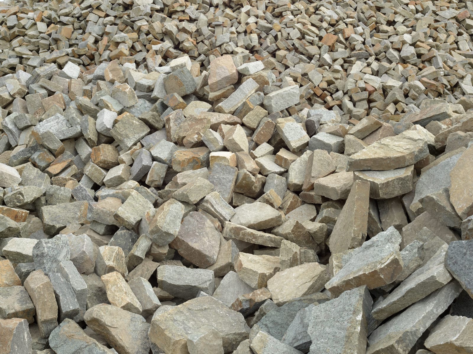 Rock Emporium, No. 12937