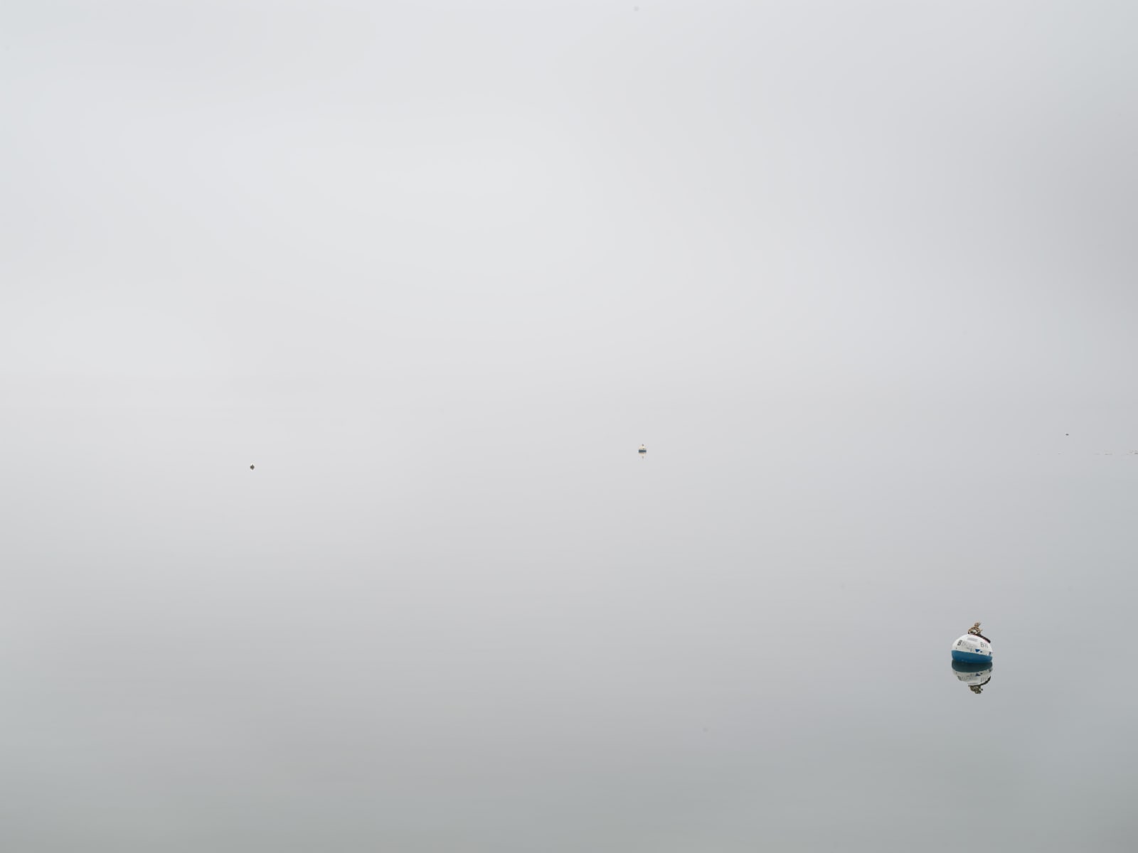 Composition 3679, 2020