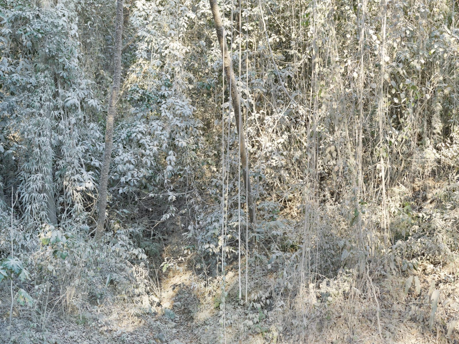 Costa Rica, No. 0376