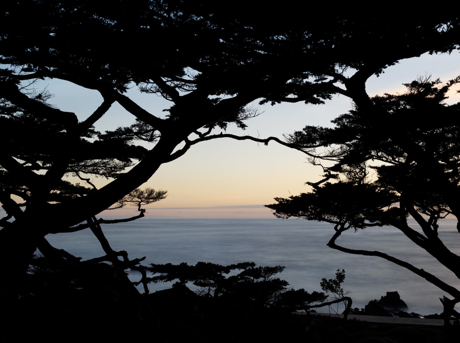 Bespoke Private Commission - Cypress Point