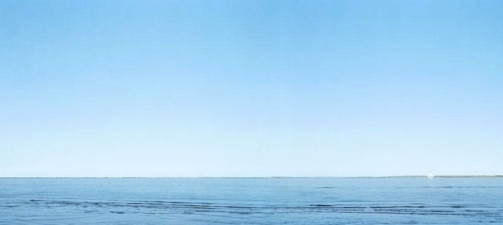 The Harbor and the Sound, 2013