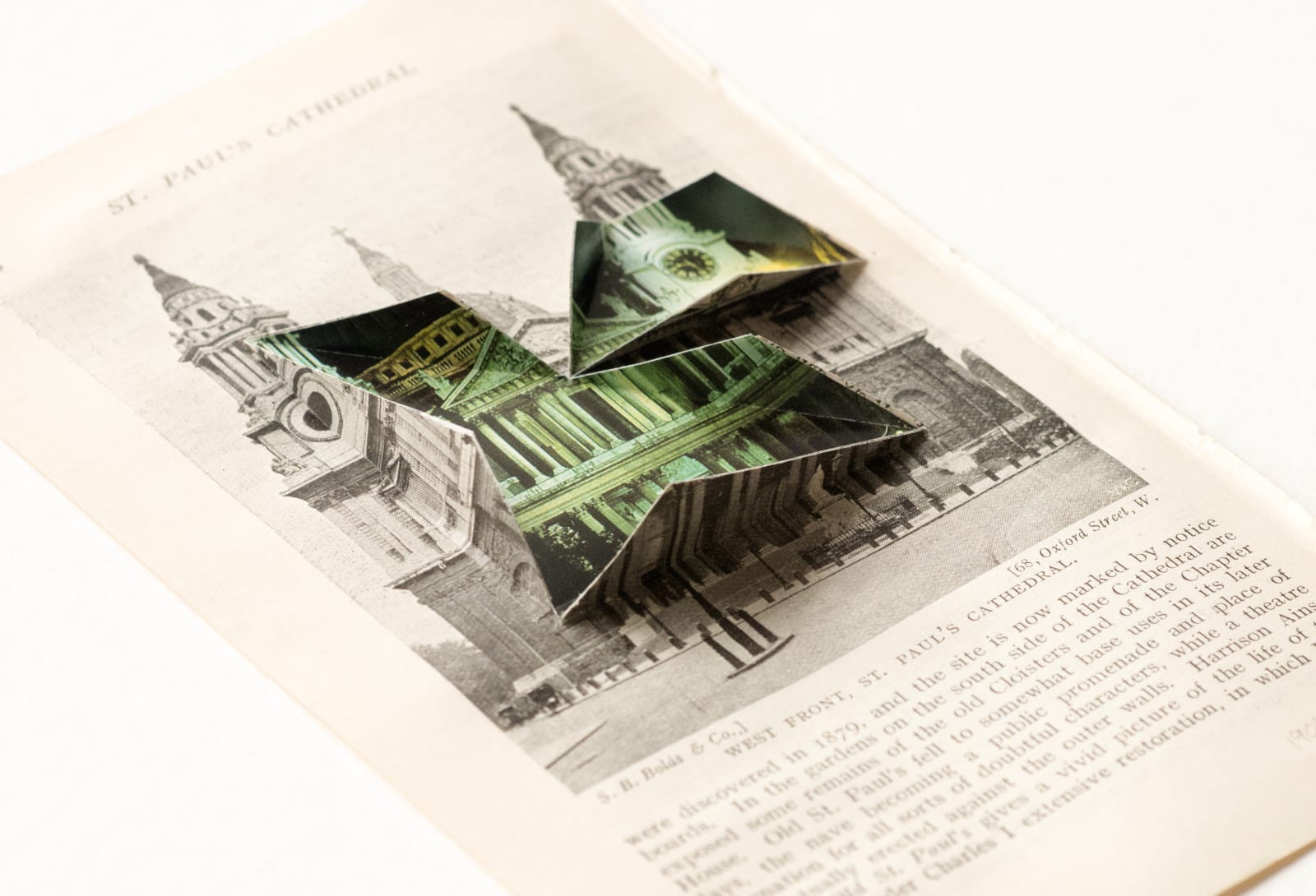 Abigail Reynolds, St Paul's 1906 | 1992