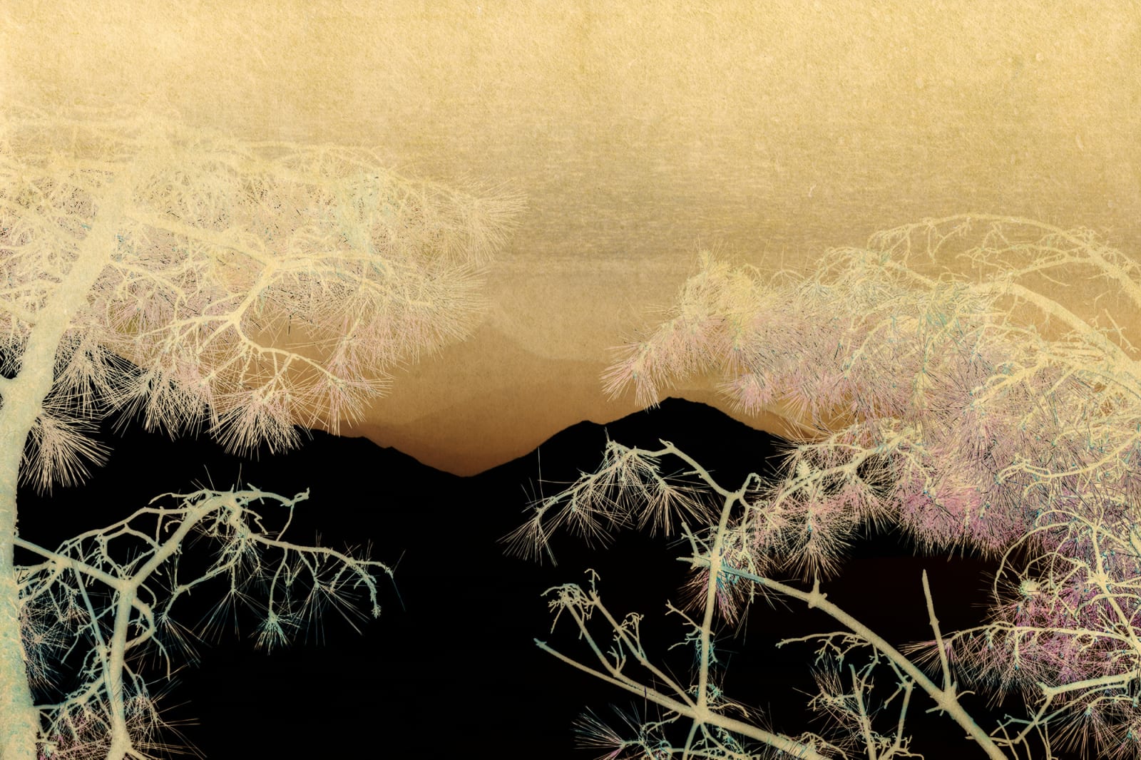 Albarrán Cabrera, Nyx #60126, 2019