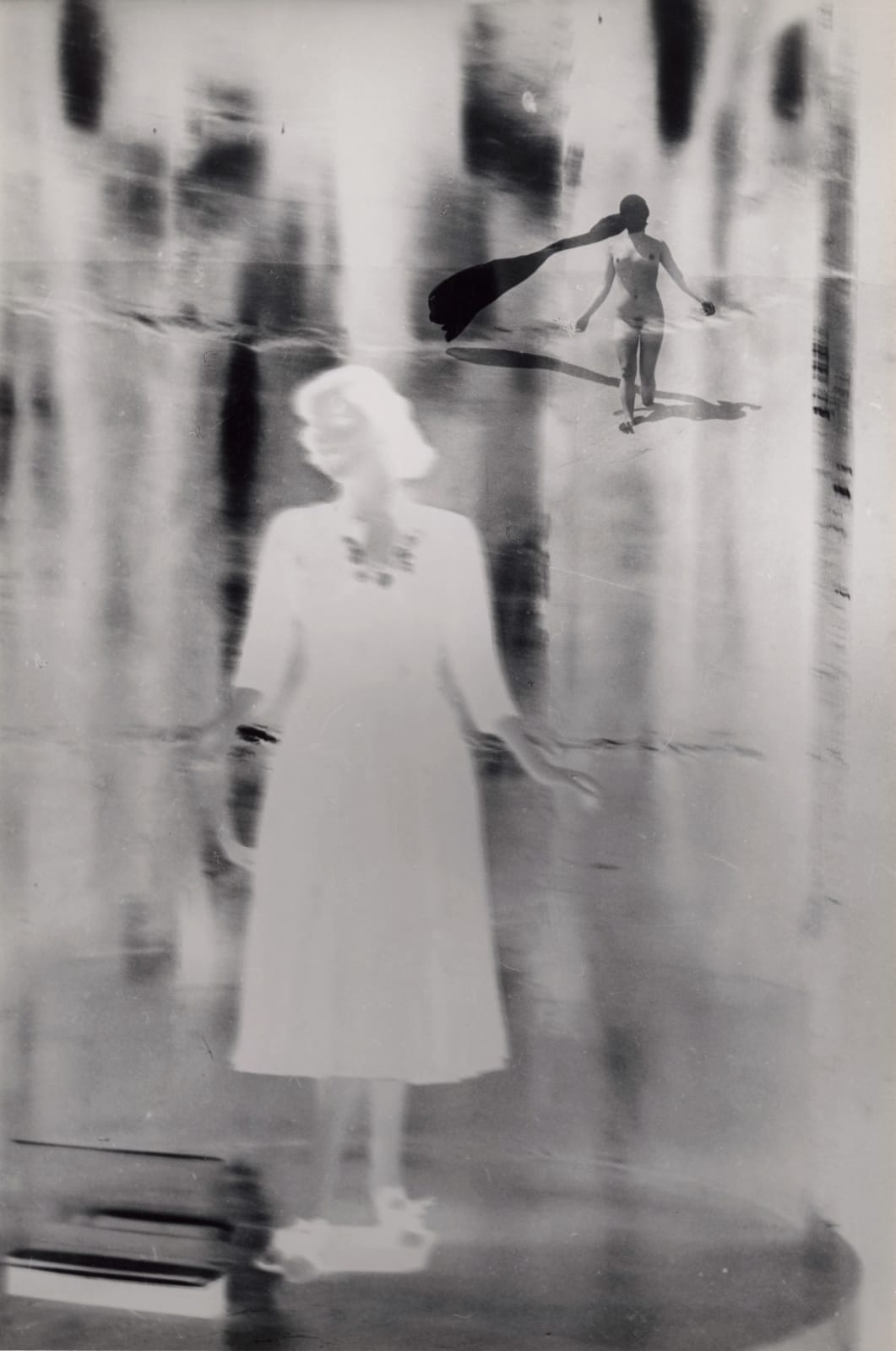 Kansuke Yamamoto, Field Rabbit, 1963