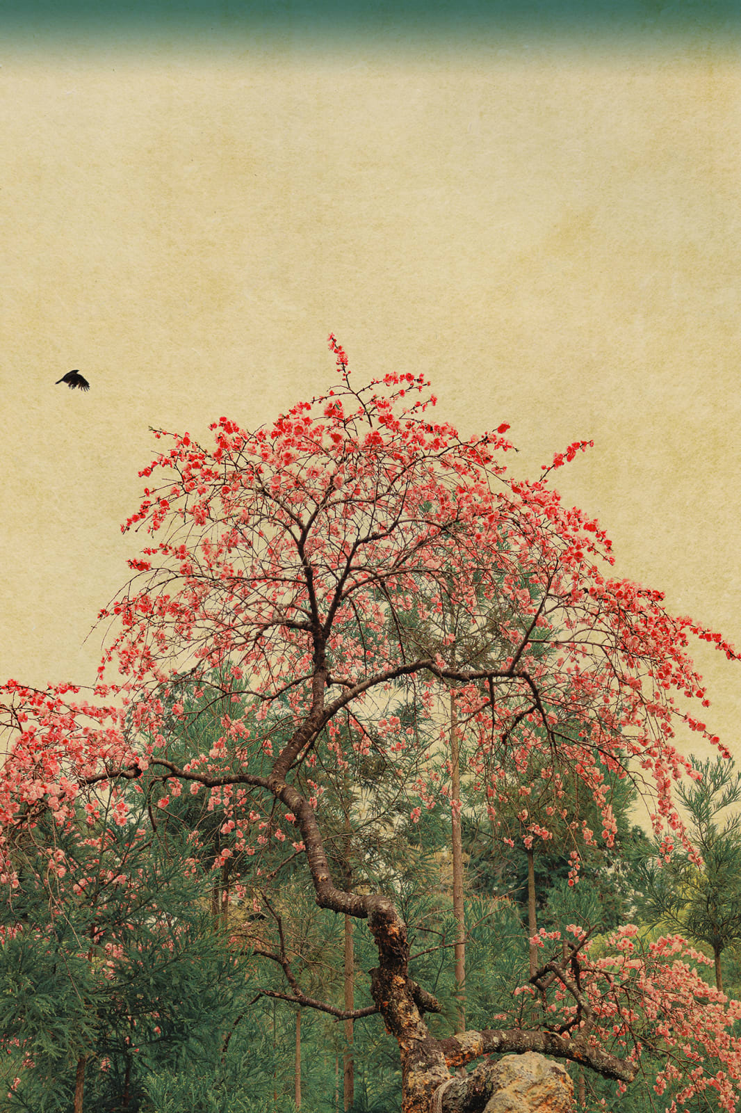 Albarrán Cabrera, The Mouth of Krishna, #808, 2015