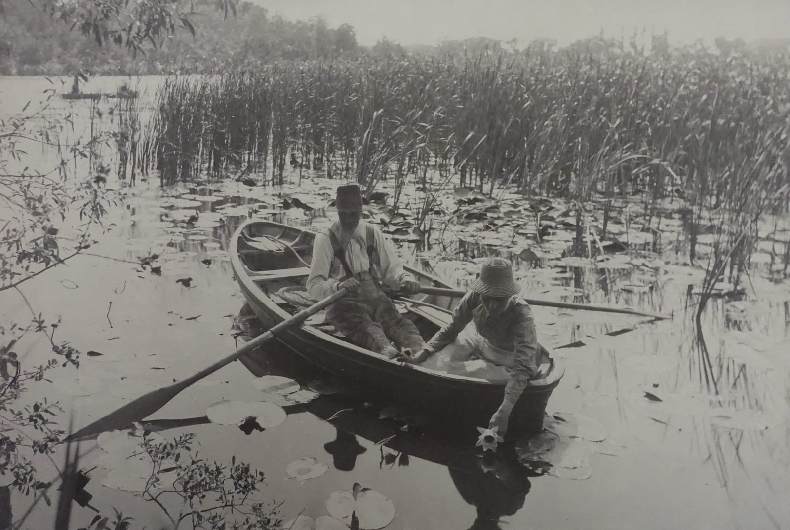 P. H. Emerson, Gathering Water Lillies, 1886