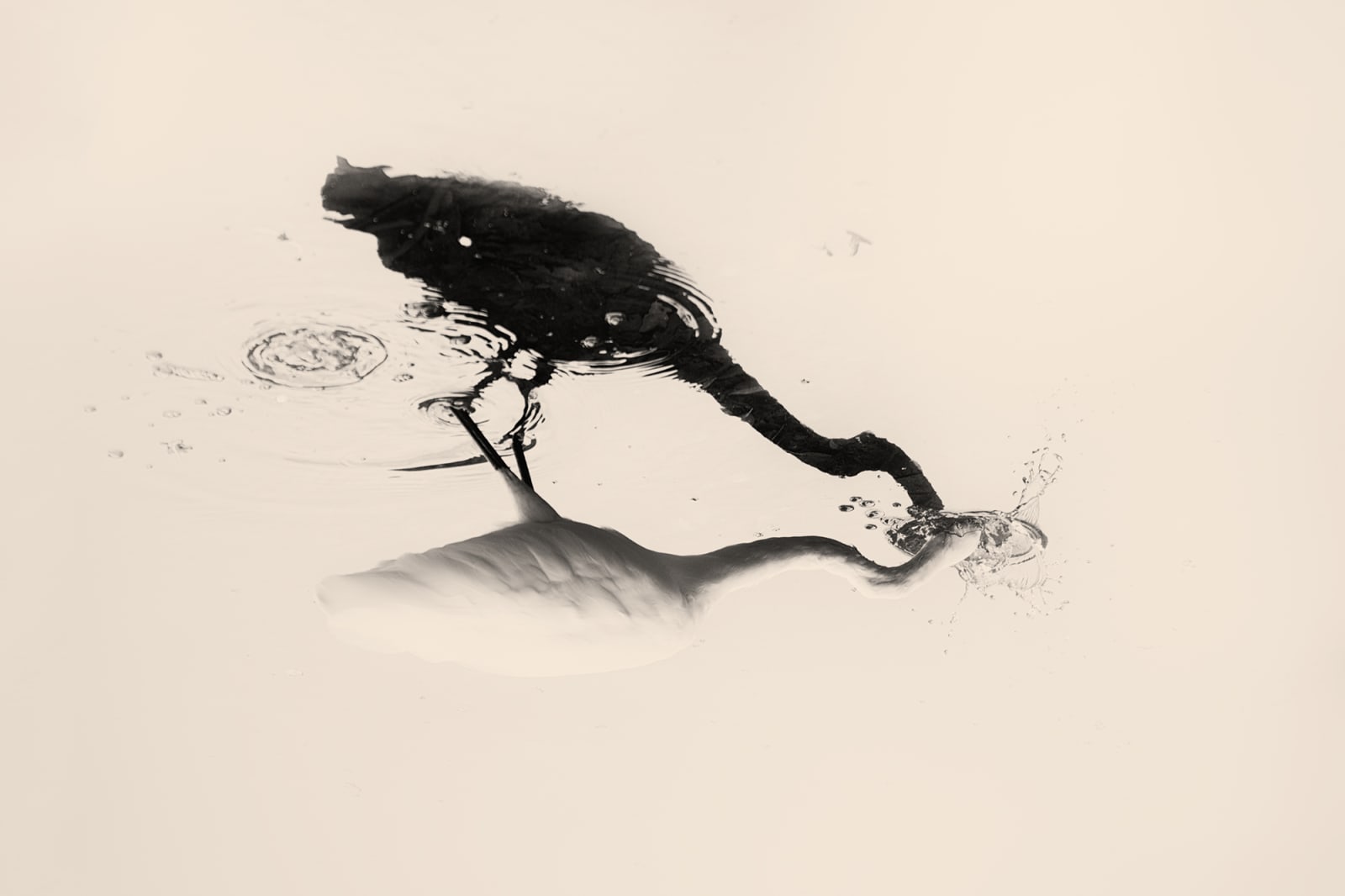 Albarrán Cabrera, The Mouth of Krishna #752, 2018