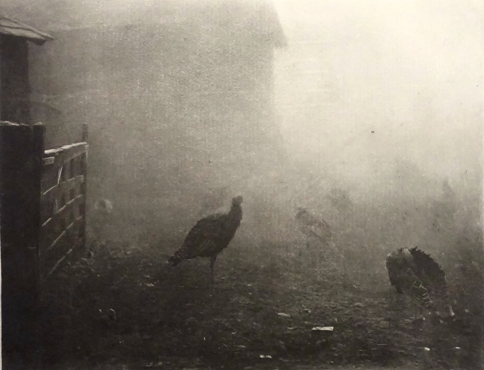 P. H. Emerson, A Corner of the Farm-Yard, 1895