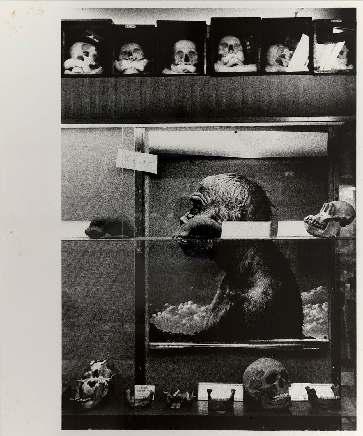 Ishiuchi Miyako, Suidobashi, 1981