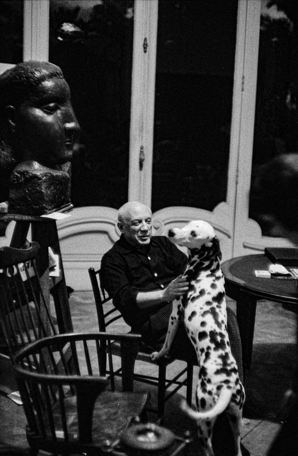 Picasso dalmatian hotsell