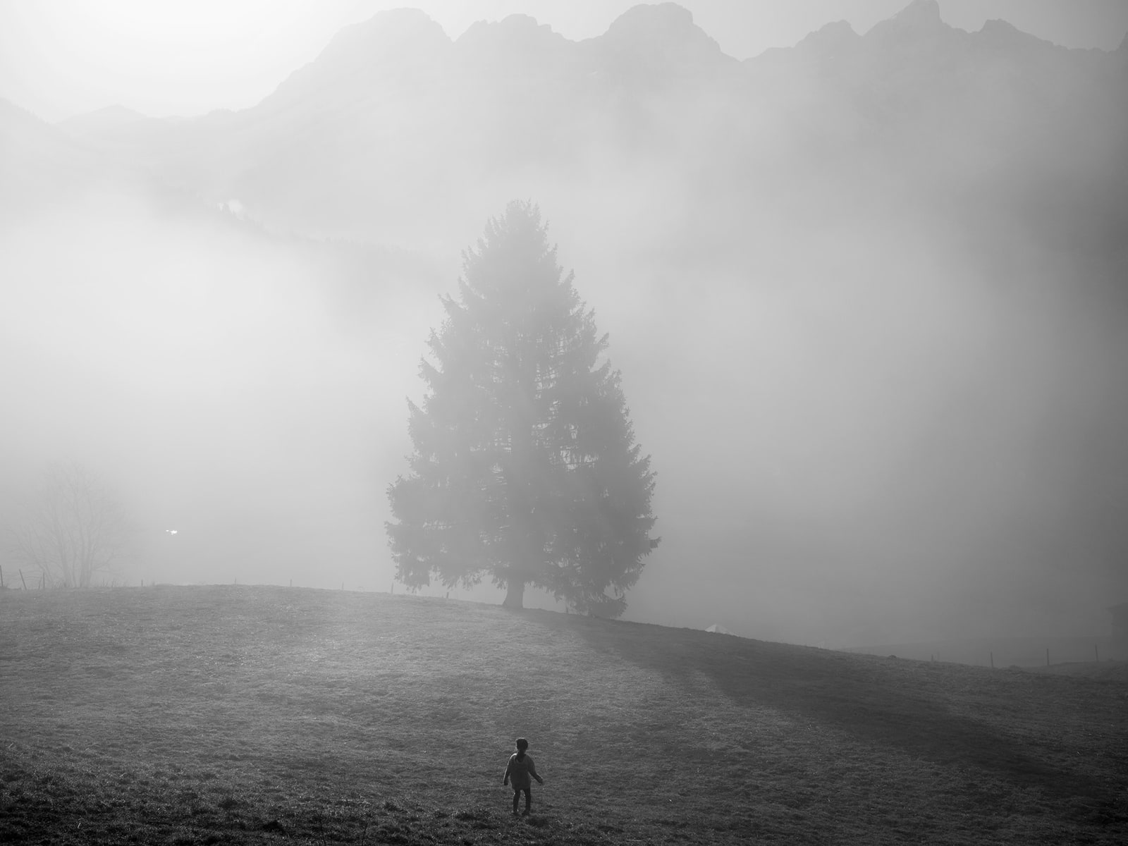 Paolo Pellegrin, SWITZERLAND. March 20, 2020. Family quarantining in the mountains. Emma, 6, runs through a field. , 2020