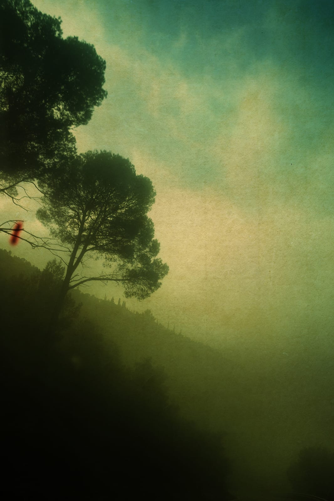 Albarrán Cabrera, The Mouth of Krishna, #406, 2015