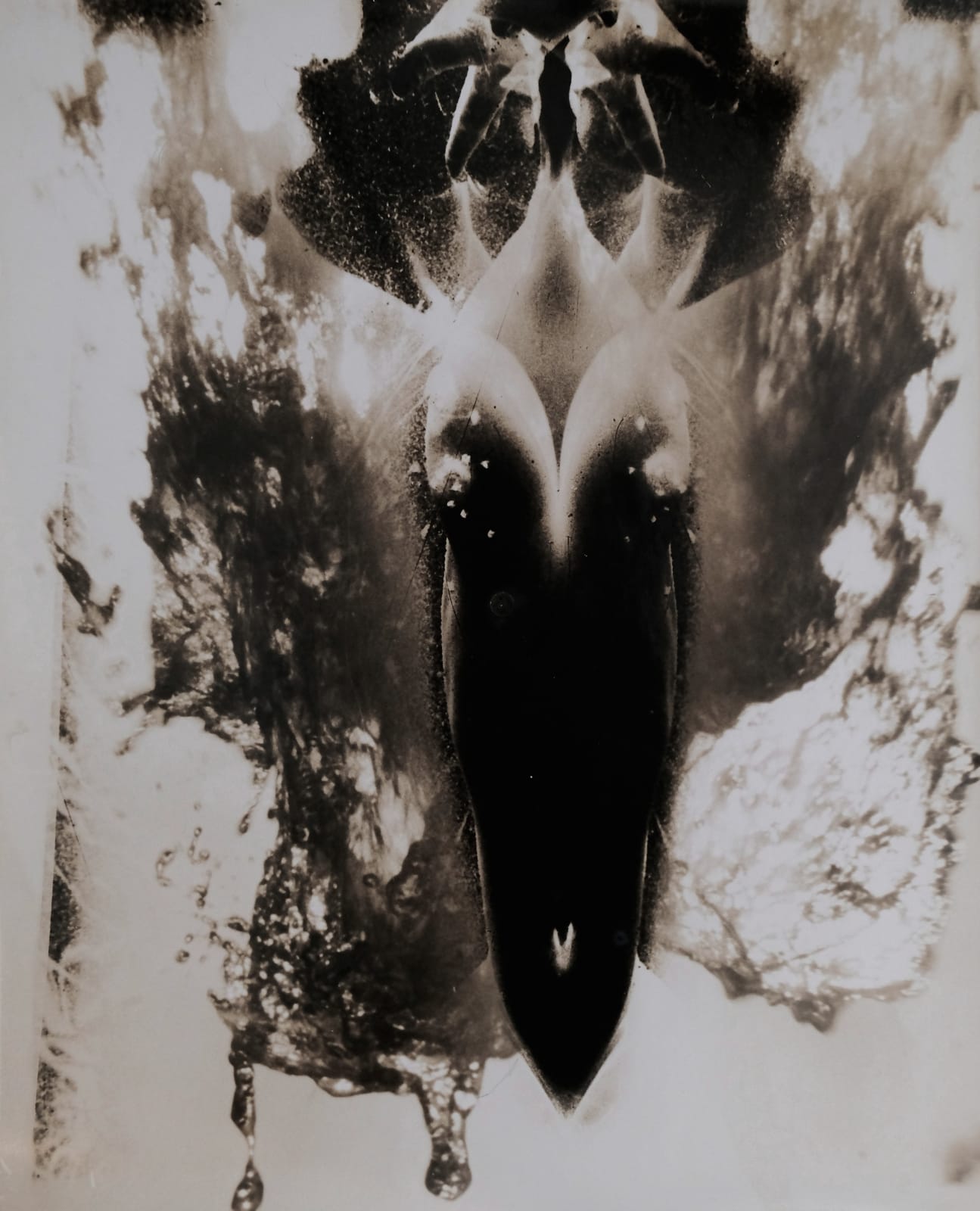 Minayoshi Takada, Nude Swimming, c.1950
