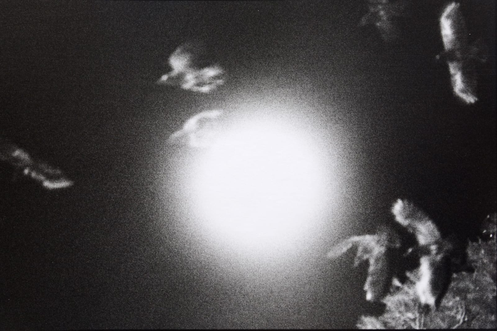 Masahisa Fukase, Untitled, from Solitude of Ravens, 1975-1985