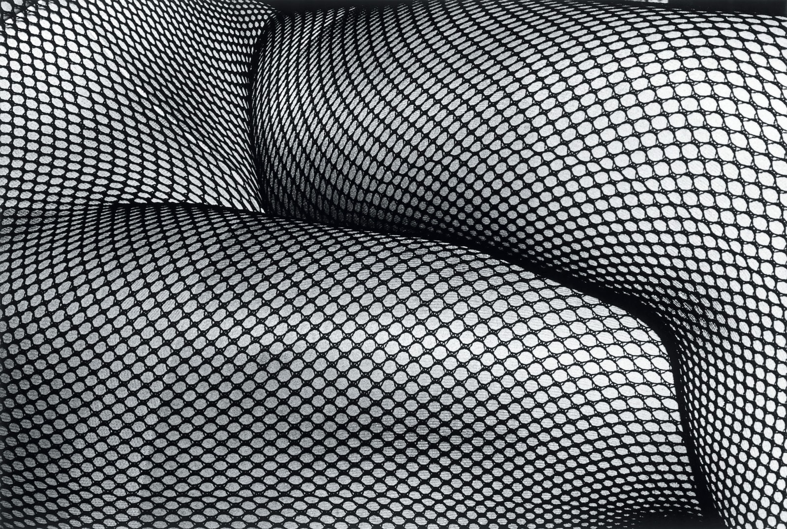 Daido Moriyama, Tights (No. 8), 1997-2011