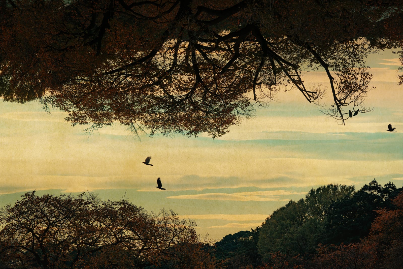 Albarrán Cabrera, Kairos #4065, 2019