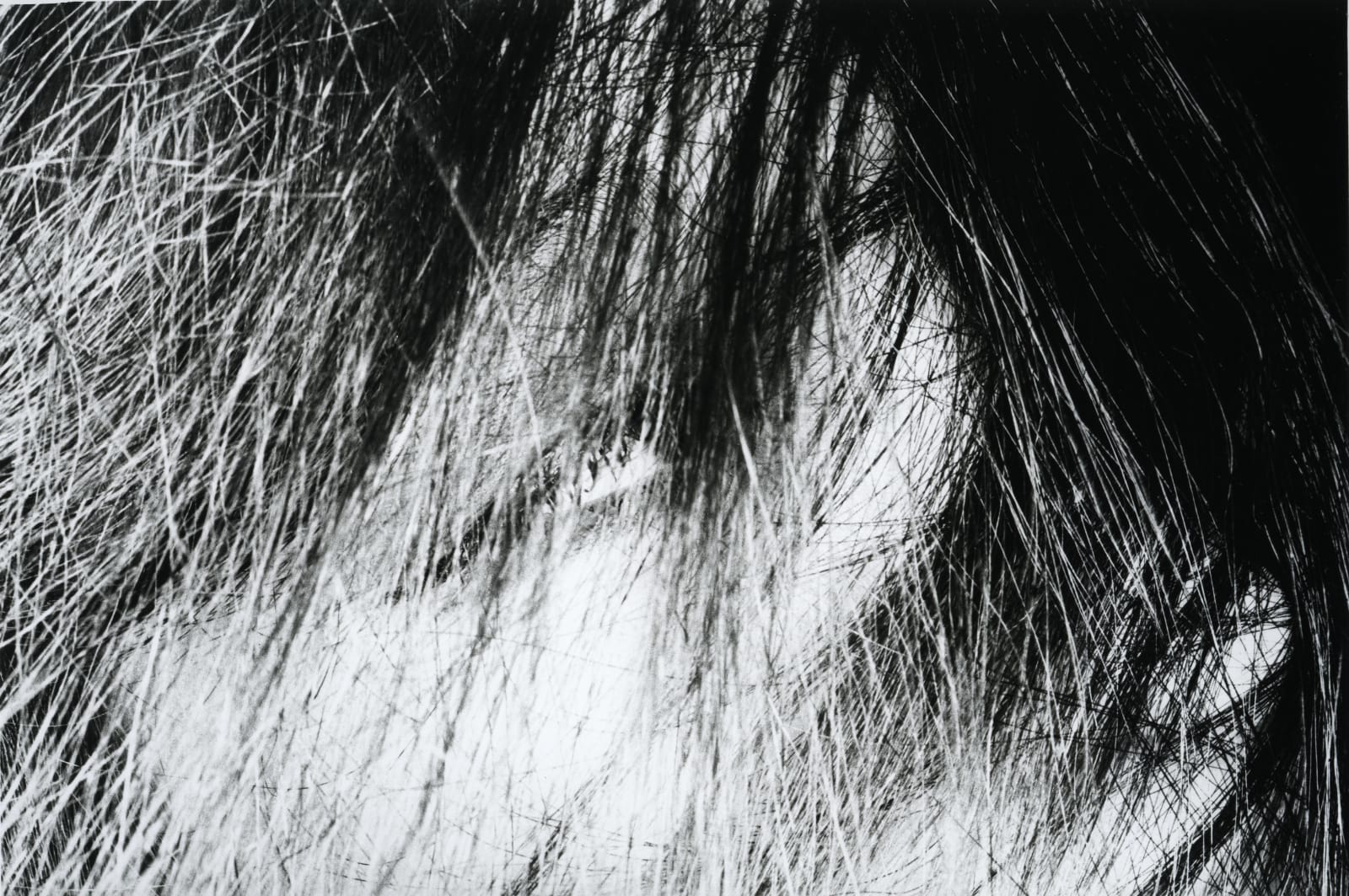 Akira Sato, Untitled, from Cyclopean Eye, 1960s